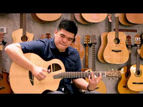 (Elvis Presley) Don't Be Cruel Fingerstyle Guitar Cover By Andy Ngew on L.Luthier Le SR