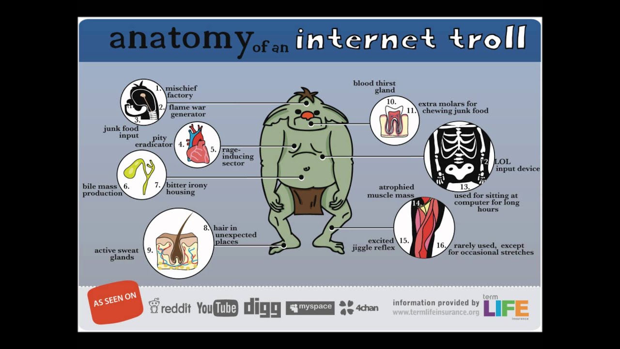 интернет тролль. интернет тролль. компьютерный тролль. кто такой тролль в интернете. кто такой тролль в интернете.