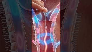 What Ovulation Discharge Really Means 👀 #education #shorts