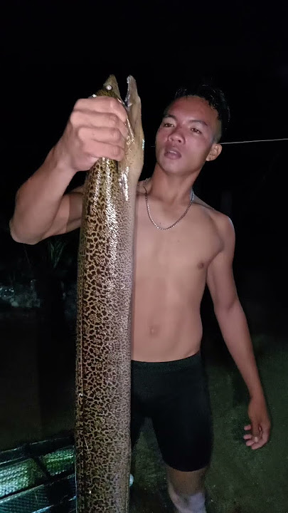 Matambok na igat guys 😯😯