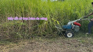Tét máy băm cỏ đa năng Nhật Bãi 0982449121