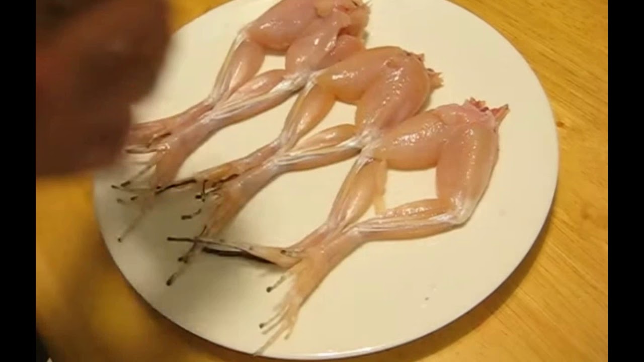 Raw Chicken Crawling Off Plate Explained & More Moving Foods! - YouTube