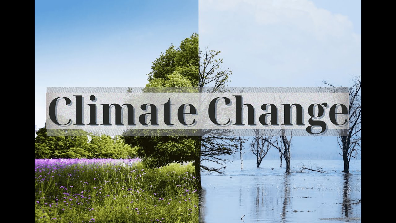 Climate Change / RETOOL Project