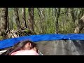 Jannat Sleeping in the Jungle