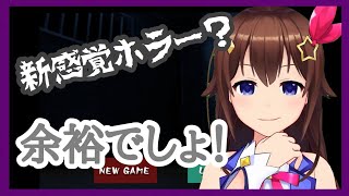 【J.B...】ちょっと変わったホラーゲームがあるらしい【＃ときのそら生放送】