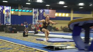 Dylan Ellsworth - Vault - 2018 Winter Cup - Finals