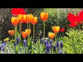 4K. Alarm Sound Wake Up. Best Alarm Tone To Wake Up. Morning Alarm Sound. Morning Alarm Ringtone.