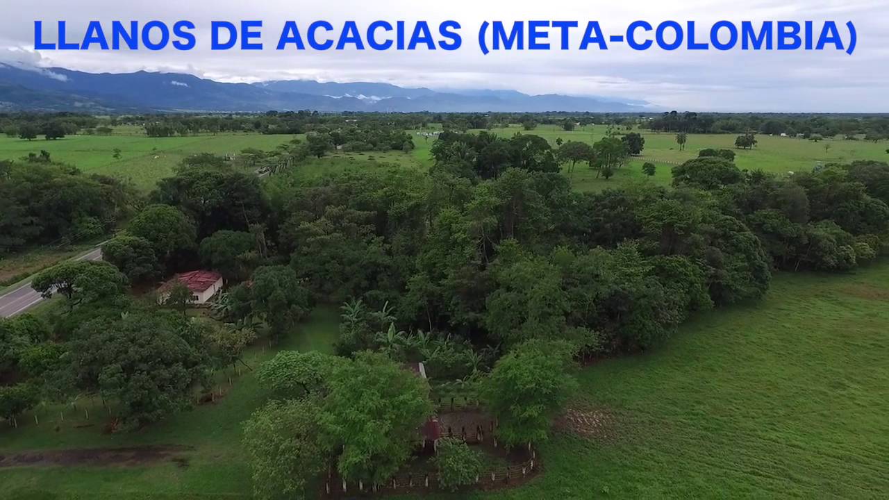 Acacias  Meta (COLOMBIA)  YouTube