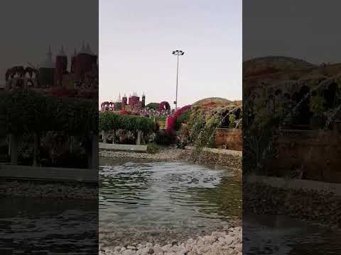 DUBAI *Miracle Garden*#ytshorts #viral #garden #dubai@The_Aesthetic_Life