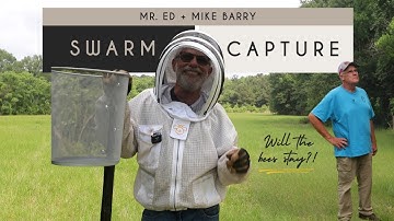 Now This is a Swarm Capture! (w/ Mr. Ed and Mike Barry) | Premier Bee Products