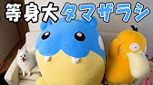 タマザラシを洗濯機に入れてみた時の反応 Shorts Youtube