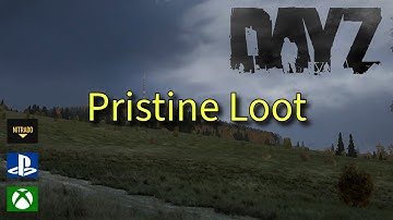 HOW TO MAKE ALL LOOT PRISTINE 2024 DAYZ PS4/XBOX MODDING