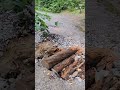 Flood Damage Along Citico Creek