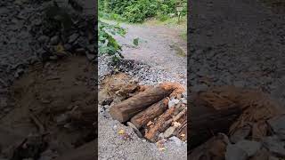 Flood Damage Along Citico Creek