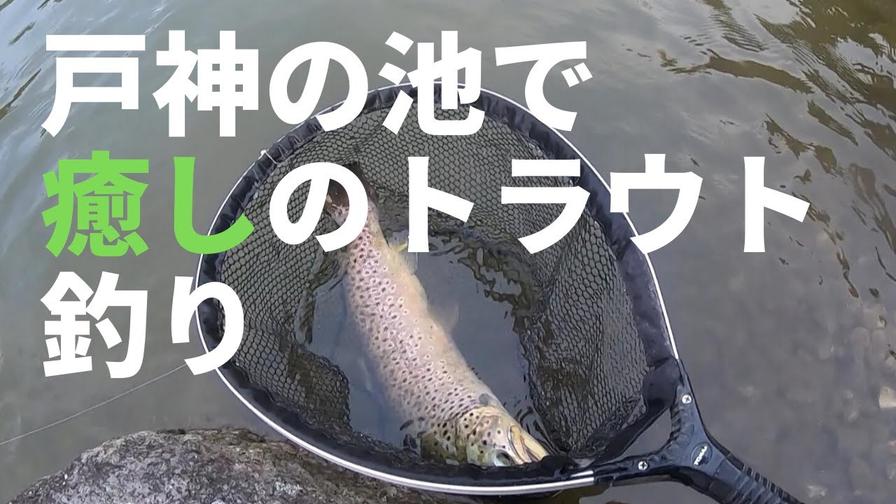 絶景管理釣り場「戸神の池」で水面を割るトラウトと熱いファイト