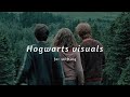 Hogwarts visuals | watch this before you try to shift