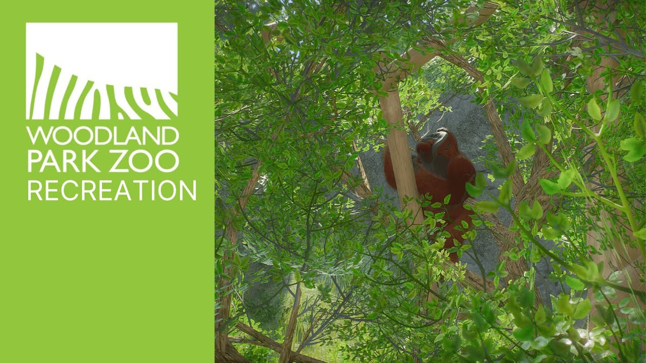 Woodland Park Zoo Planet Zoo Recreation YouTube Woodland Park Zoo Planet Zoo Recreation YouTube