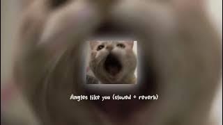 Angels like you (slowed reverb)