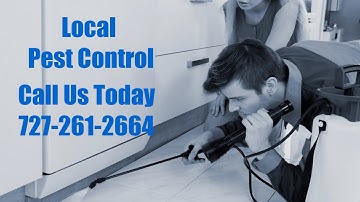 pest extermination high point FL - Residential Emergency Exterminators Termite Treatment