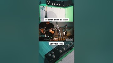 Hot take: The Perfect Chorus is a Uni-Vibe // Kingtone Vibe 1968 🔥 #univibe #modulation #guitartone