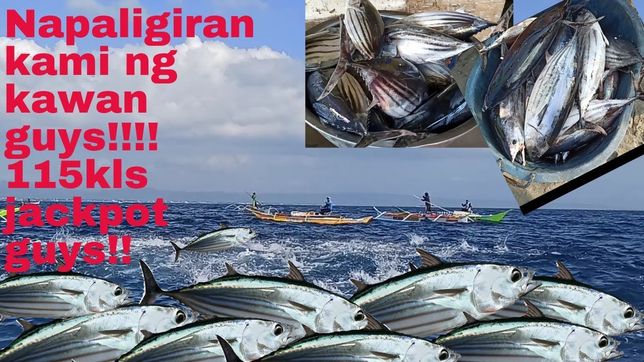 JACKPOT! 115kls Guys| Napaligiran kami ng kawan!!