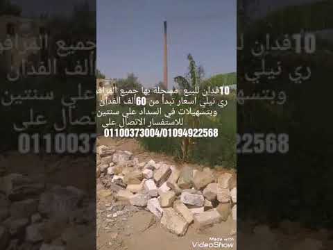 أراضي زراعية للبيع علي طريق مصر بني سويف الغربي 60ك من القاهرة
