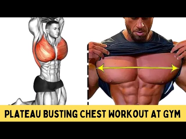 Plateau Busting Chest Workout At Gym, Complete Chest Workout At Gym