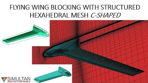 FLYING WING STRUCTURED C-SHAPED HEXA MESHING WITH ICEM CFD