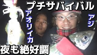 #4 釣った魚で１泊２日 初めての離島は夜も絶好調