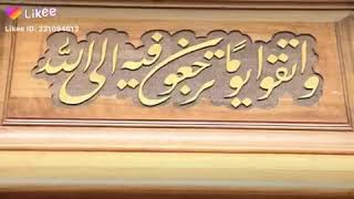 Короткие Видео Qisqa Videolar