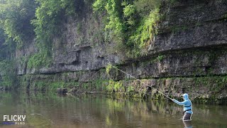 3 Days Camping + Fishing the Driftless (THIS Is the Midwest?)