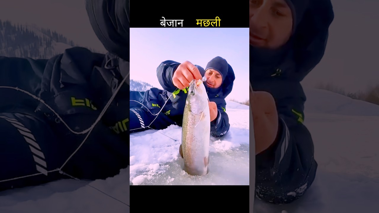 बेजान मछली 😱 #aivideo #fishing #fascinatinginformation #youtubeshorts #amazingfacts
