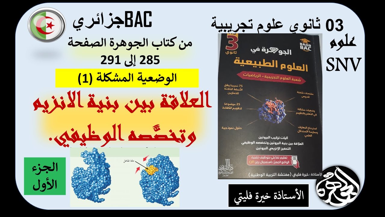 الجزء الأول من حل المشكلة 1 العلاقة بين بنية الانزيم وتخصصه الوظيفي