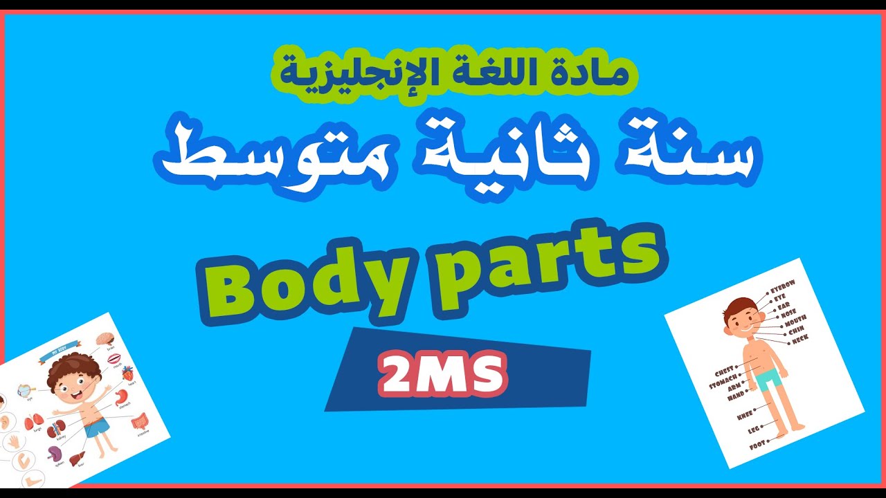 Body Parts  in English |2 MS  | أعضاء الجسم للسنة الثانية متوسط