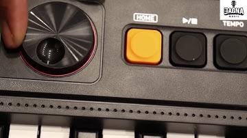 Casio CTS-195 And Casio CTK-2550 Review , Comparison and Demo.