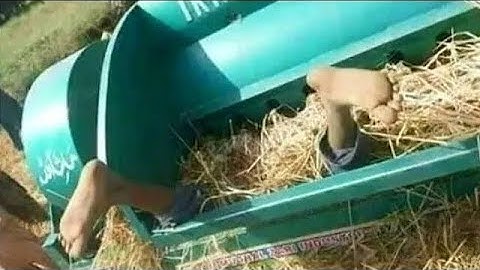 Wheat Thresher &  Belarus Tractor Video | Wheat Is Threshed With The Help Of White Thresher