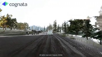 OffRoad Scenario @Cognata Simulation Platform