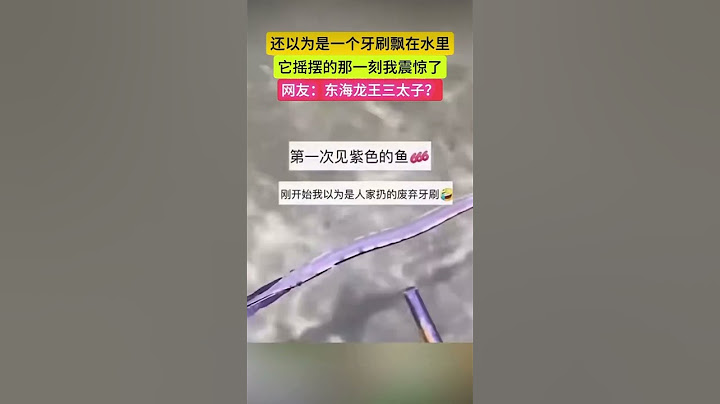 还以为是一个牙刷飘在水里它摇摆的那一刻我震惊了#shorts #funny