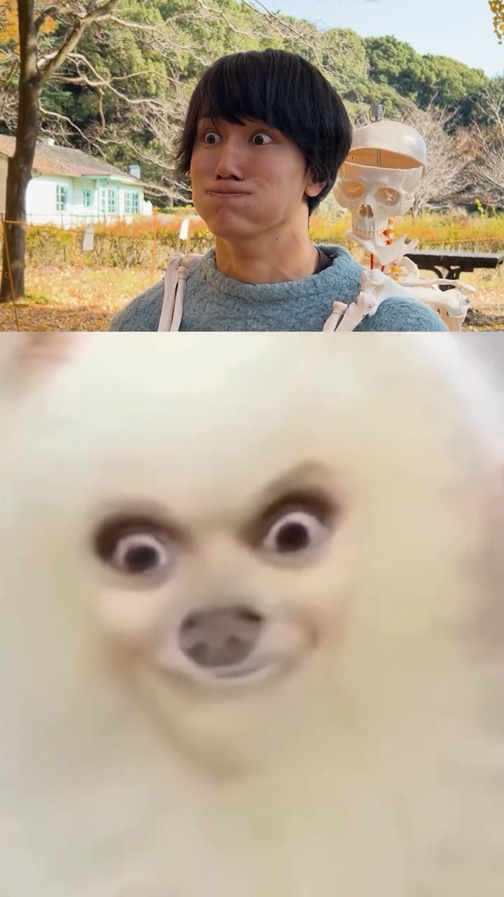 Try not to laugh Game!!