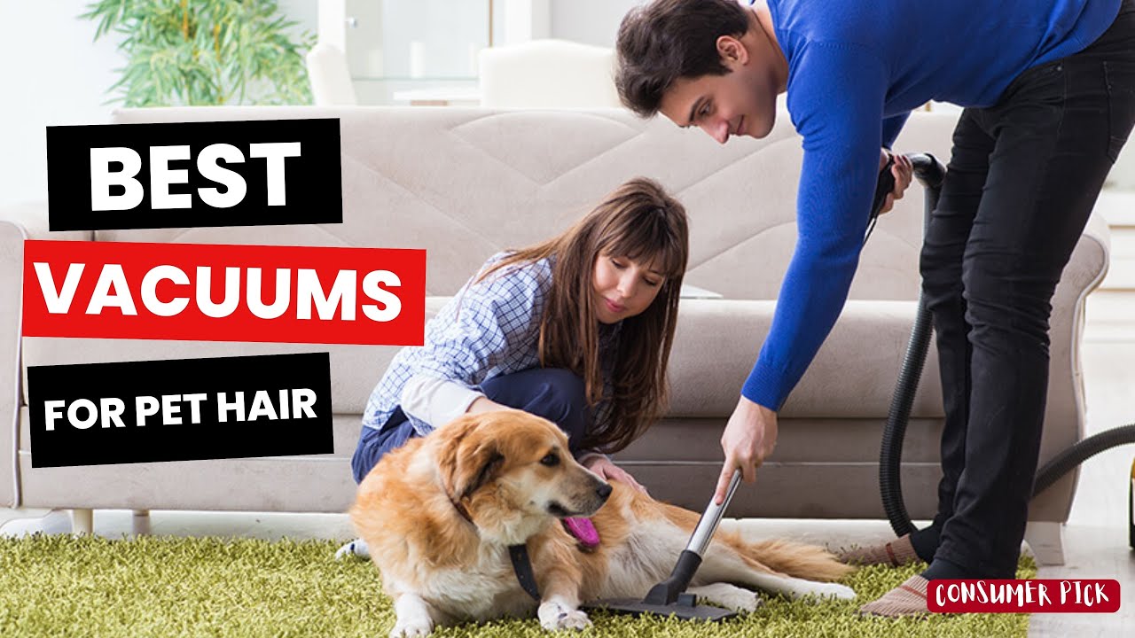 Best Vacuums for Pet Hair 2024 - (Say Goodbye to Shedding) 