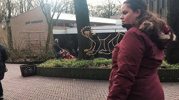 Zhiyun Smooth Q Stabilizer Test Footage (burger zoo)