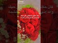 صباح الورد وريحة شذى عطره الفواح