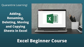 Working with Sheets | How to Add, Rename, Delete, Move or Copy Sheet in Excel | Quarantine Learning