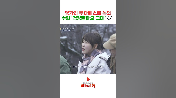헝가리 온천수보다 따뜻한 수현 걱정말아요 그대 🎶 #헝가리 #부다페스트 #버스킹 #비긴어게인 #비긴어게인2 #수현 #악뮤