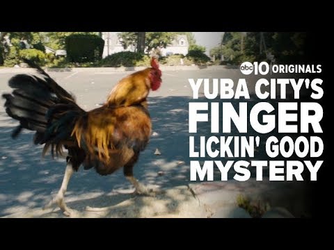 Mystery surrounds Yuba City's chickens | Bartell's Backroads