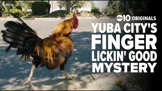 Wild chickens are a staple in yuba city. but no one seems to know
where they come from. subscribe at: https://goo.gl/vai8eu find abc10
online: https://www.ab...