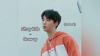 (sub indo) Stray kids - Grow up | lyrics mv