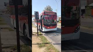 Caio Mondego Scania II Recorrido 103 Llegando Y Saliendo De San Luis De Macul De La Empresa STU