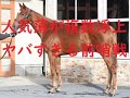 阪神ジュベナイルフィリーズ 2023 人気薄本命候補 先週ウィルソンテソーロ、ドゥラエレーデ推奨