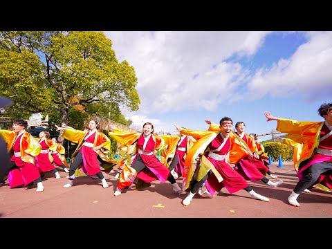 [4K] ひなた　犬山踊芸祭 2021 1日目 プレジャーランド会場